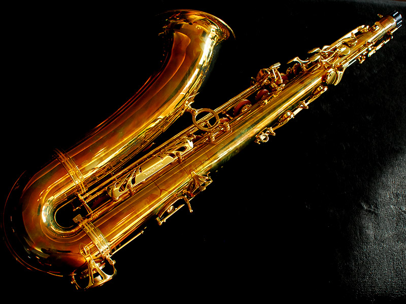Yanagisawa A-991 (GPネック) Yanagisawa A-991 (GPネック)