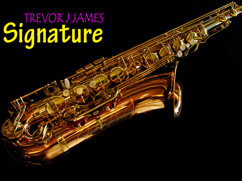 131216signature_t0713_01.JPG
