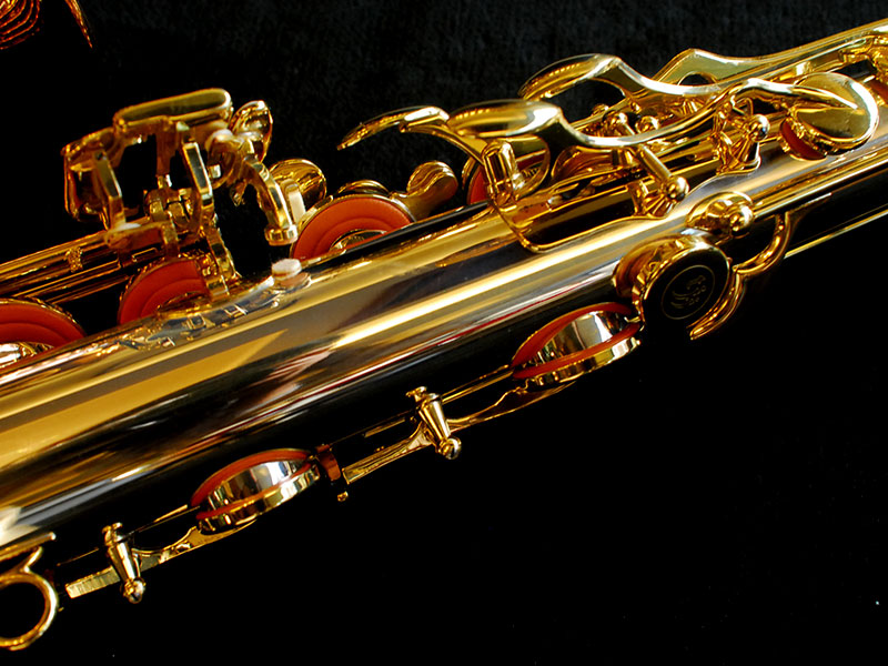 Trevor J.James Signature テナーサックス 極上