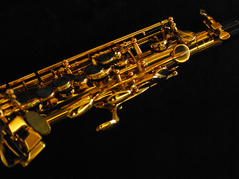 希少！H.SELMER Reference54 DragonBird コレクター アルト
