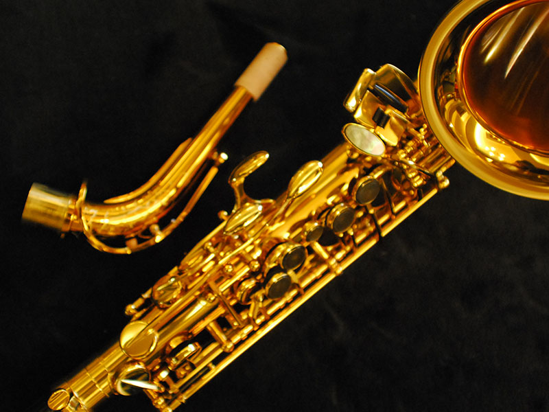 希少！H.SELMER Reference54 DragonBird コレクター アルト