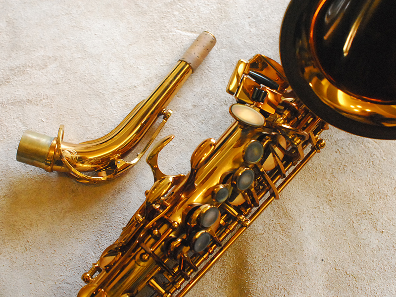 H.SELMER REFERENCE54 FIRE BIRD ´85/250´アルトサックス