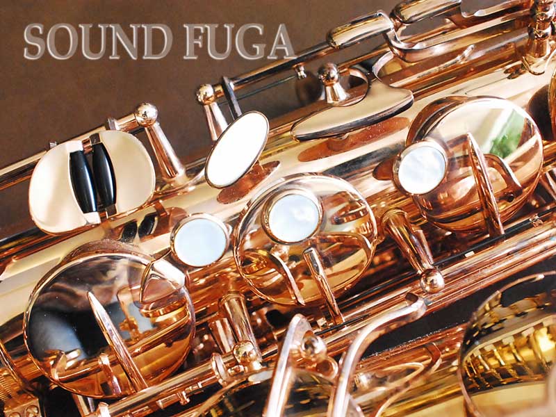 woodstone テナーサックス ピンクゴールド Wood Stone New Vintage Series WST-VL | Sax world