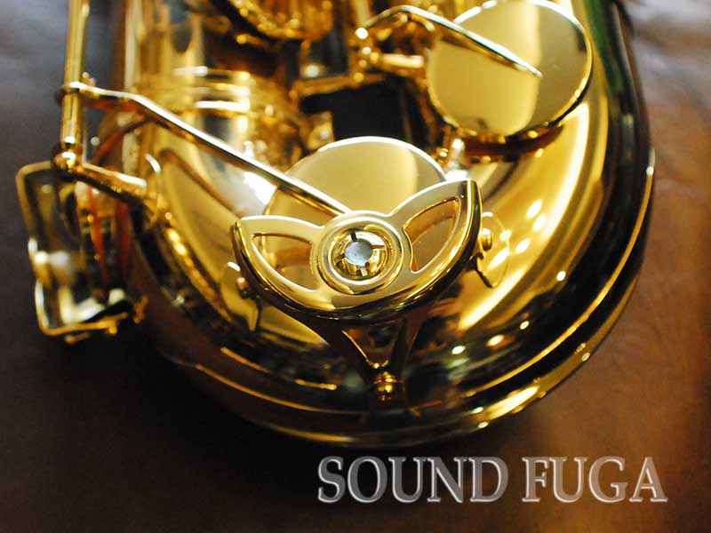 ヤナギサワテナーサックス901II Amazon | Yanagisawa TENOR SAXOPHONE T-WO1 ヤナギサワ テナー