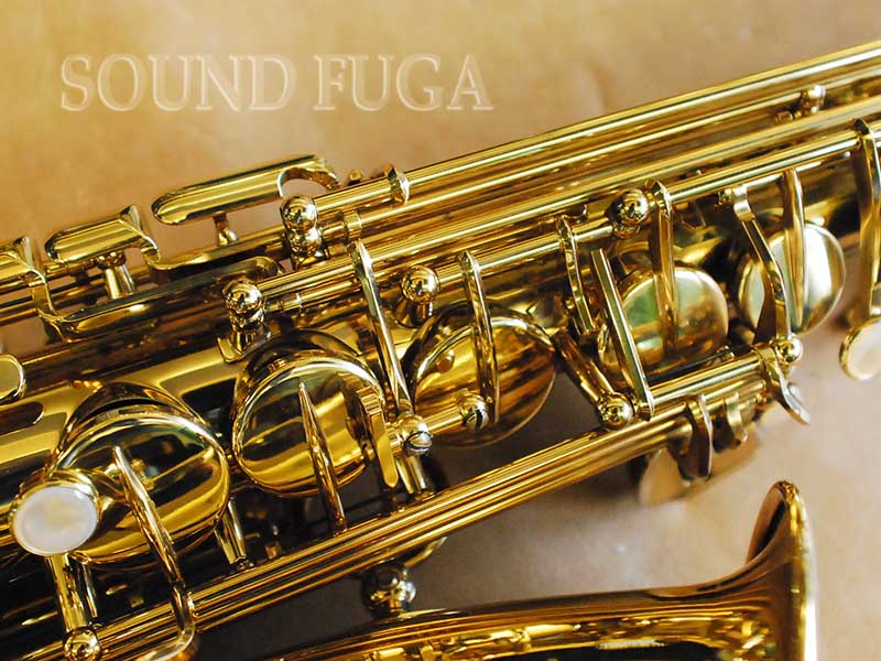 H.SELMER REFERENCE 54 限定バードシリーズ HUMMING BIRD 希少 アルト