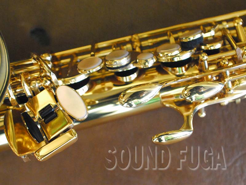 H.SELMER REFERENCE 54 限定バードシリーズ HUMMING BIRD 希少 アルト