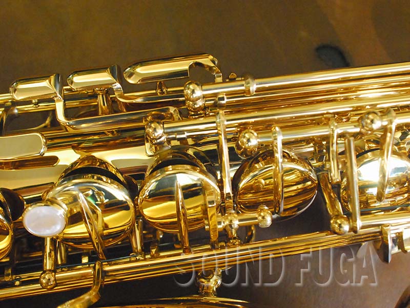 H.SELMER REFERENCE 54 限定バードシリーズ HUMMING BIRD 希少 アルト