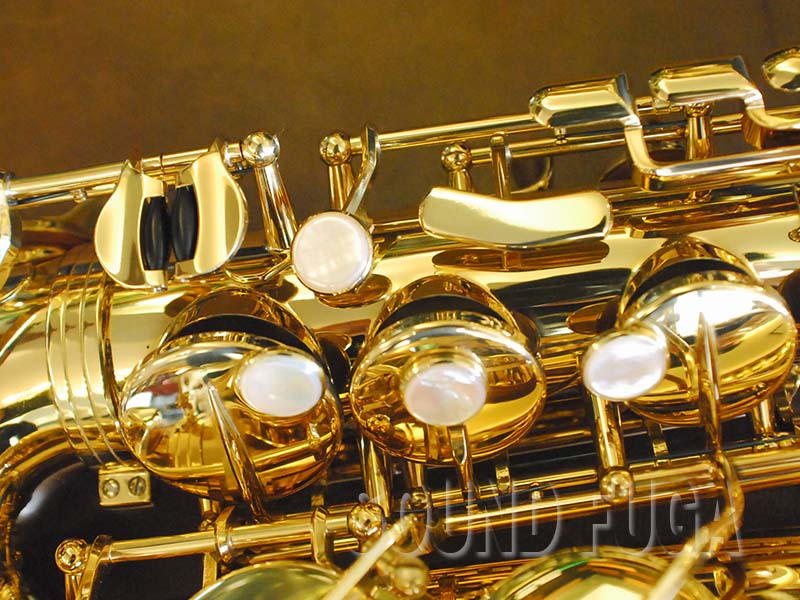 H.SELMER REFERENCE 54 限定バードシリーズ HUMMING BIRD 希少 アルト