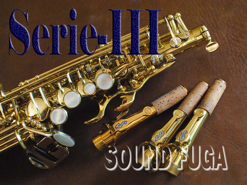 H.SELMER SERIE-III 　彫刻付　GPカーブドネック付　SOPRANO 　ソプラノサックス