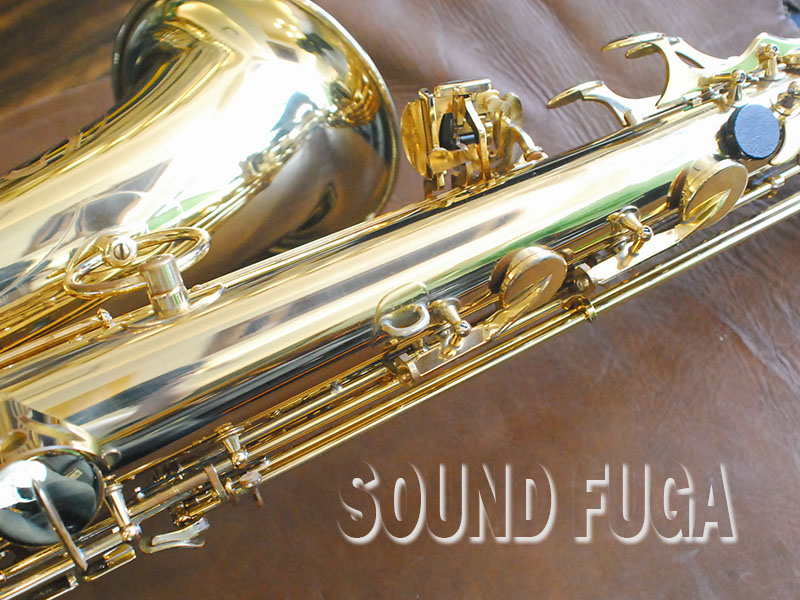 YANAGISAWA T-880Elimona テナーサックス OH済