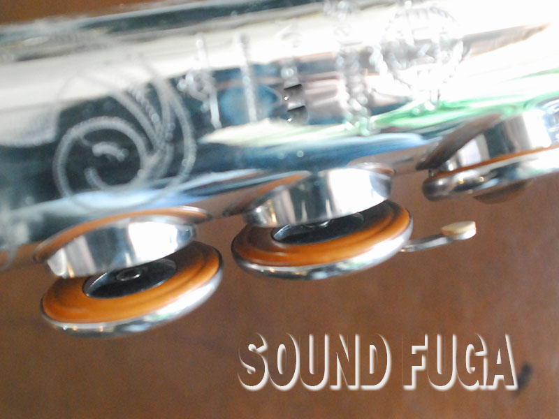 H.SELMER MARK VI 131千番台 シルバープレート ソプラノサックス H.SELMER MARK VI 131千番台 シルバープレート ソプラノサックス