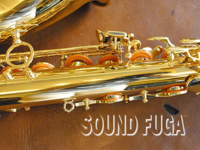 YANAGISAWA T-WO1 TENOR テナーサックス 極上