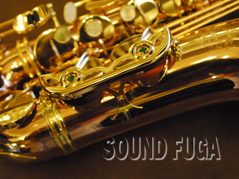 CADESON A-900GB アルトサックス