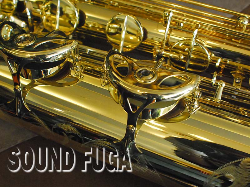 バリトンサックス　SELMER SA80 シリーズ2
ネック(金メッキ) Selmer Paris SA80 Series II Alto Saxophone - Jubilee - Gold
