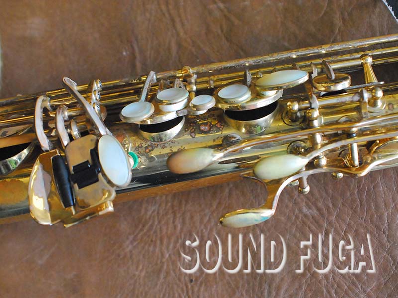 Yanagisawa elimona テナーサックス YANAGISAWA T-880 ELIMONA GPネック TENOR テナーサックス