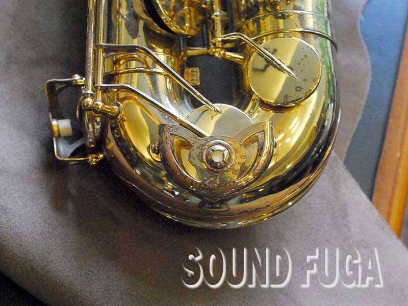 Yanagisawa elimona テナーサックス YANAGISAWA T-880 ELIMONA GPネック TENOR テナーサックス