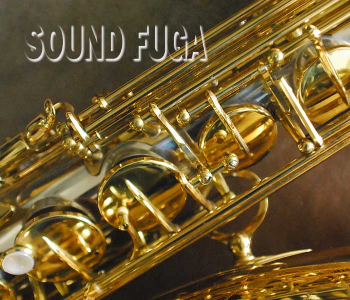YANAGISAWA T-9930 テナーサックス美品 YANAGISAWA T-9930 テナーサックス美品