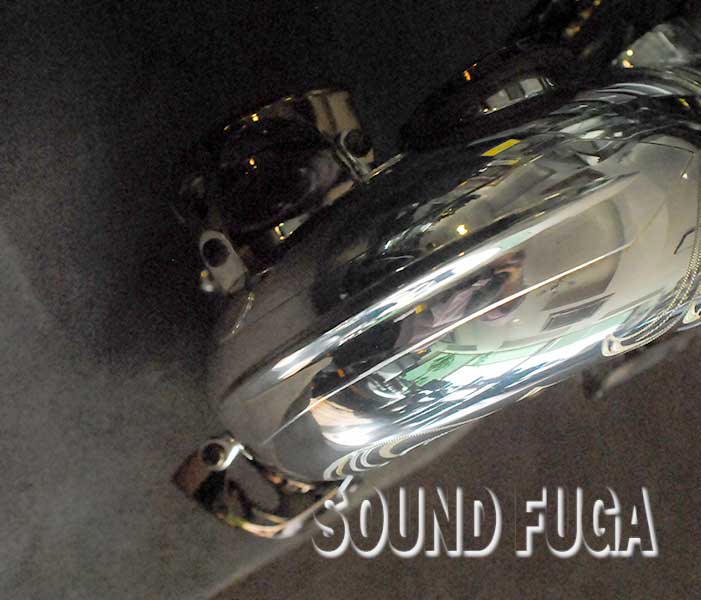 CANNONBALL AVR/01-SD-L Vintage Reborn アルトサックス 美品