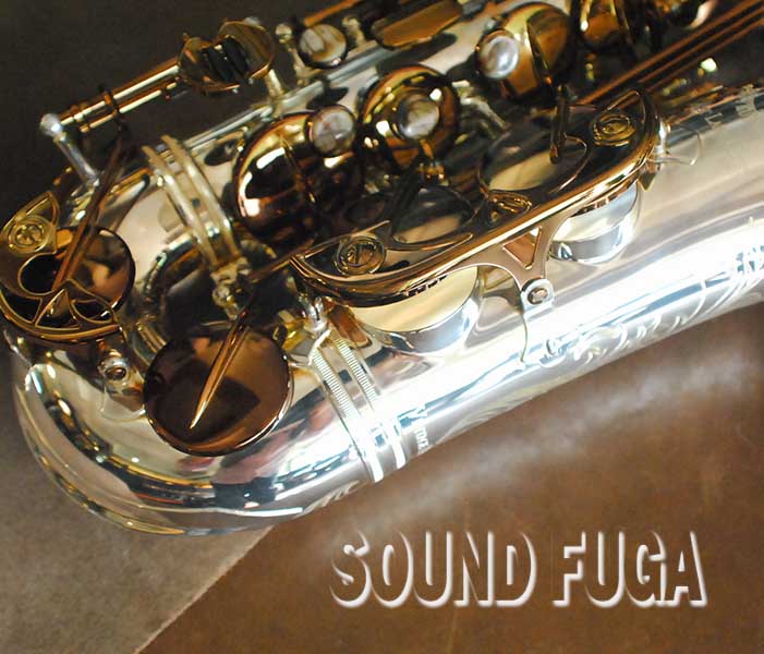 CANNONBALL AVR/01-SD-L Vintage Reborn アルトサックス 美品