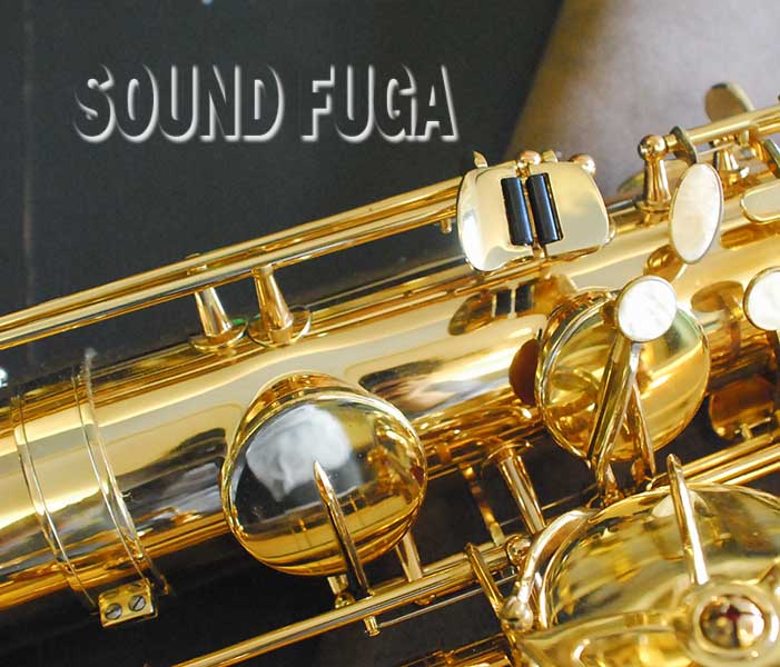 通販 人気】 【太陽】J. Michael バリトンサックス 管楽器 - hesnor.com