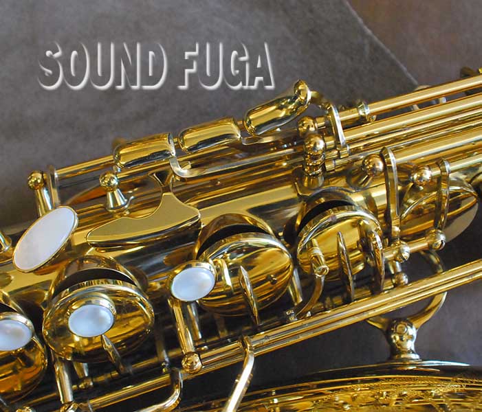 YANAGISAWA A-990 GP NECK EILIMONA後継 アルトサックス 良品