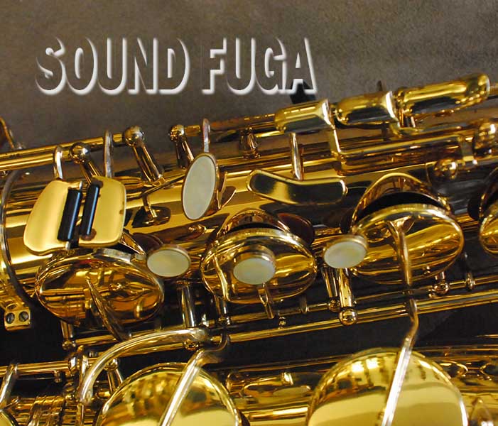 H.selmer SA80 Ⅱ W/E GL SELMERⅡ テナーサックス H.Selmer T.sax SA80 II w/e GL - Musicporte