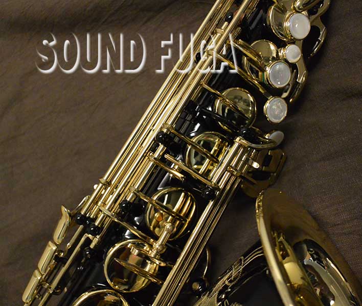 H.SELMER SERIE-III 69万番 BLACK ALTO 希少アルトサックス