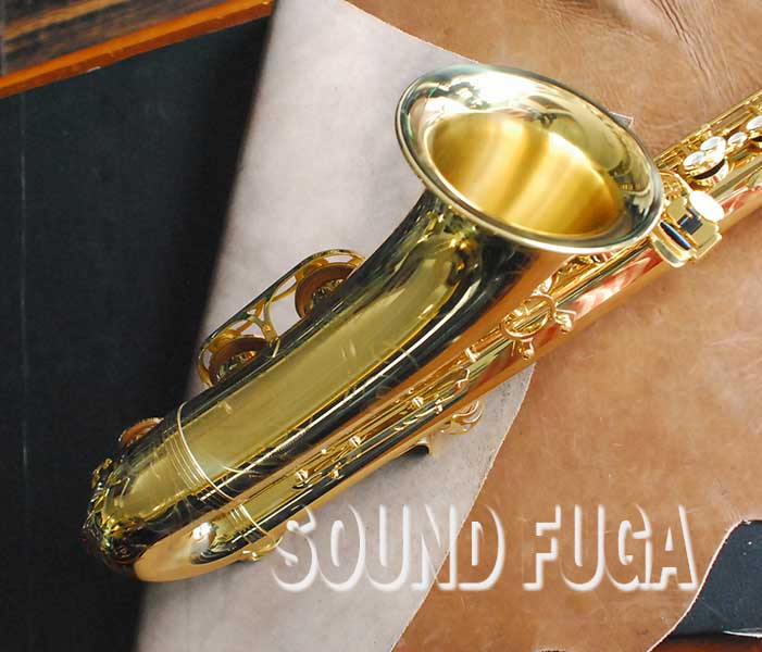 YANAGISAWA T-WO10 TENOR テナーサックス YANAGISAWA T-WO10 TENOR テナーサックス