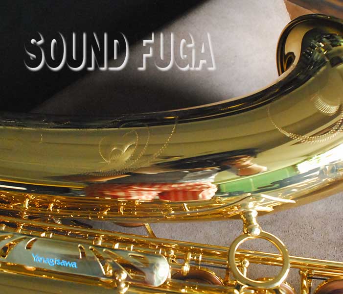 YANAGISAWA T-WO10 TENOR テナーサックス