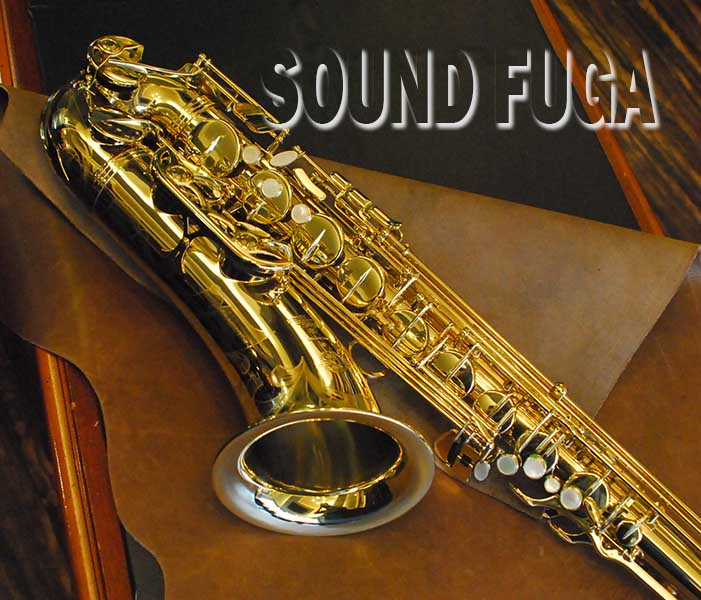 H.SELMER SA-80II テナーサックス（44万番台） H.SELMER SA-80II テナーサックス（44万番台） - メルカリ