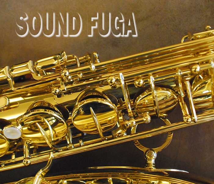 H.SELMER SA-80II テナーサックス（44万番台） H.SELMER SA-80II 彫刻付 71万番 テナーサックス