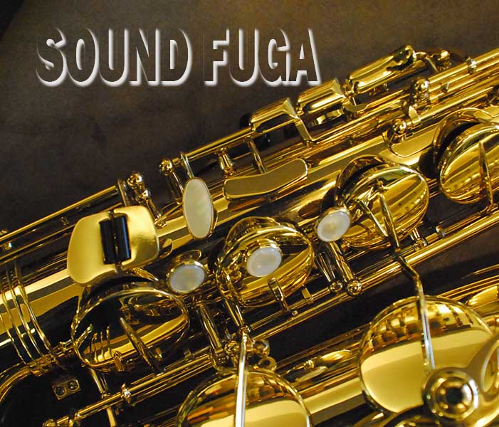 H.SELMER SA-80II 彫刻付 71万番 テナーサックス