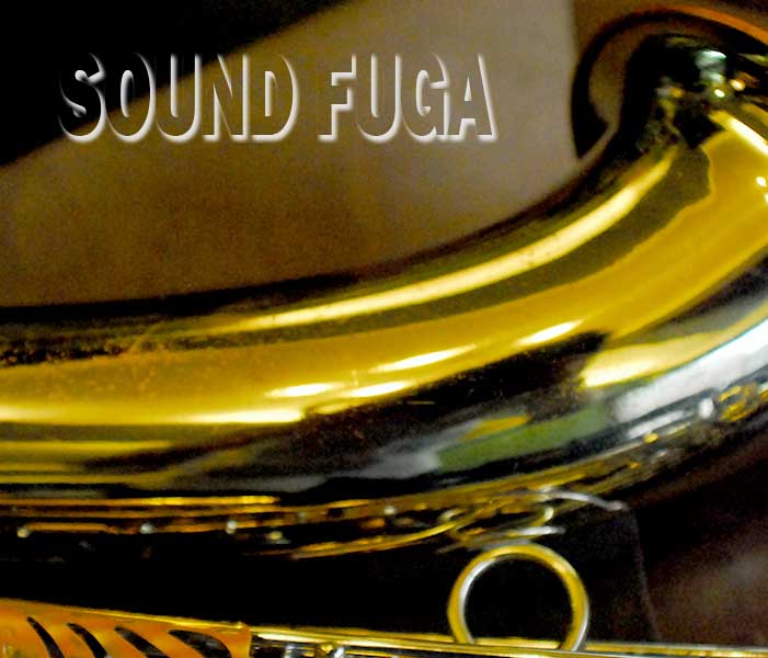 YANAGISAWA T-5 TENOR テナーサックス