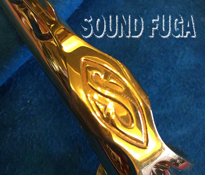SELMER MARK VI 用 ALTO GP NECK