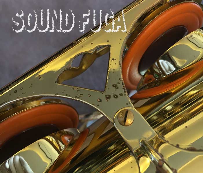 yanagisawa T-800 ELIMONA 銀メッキ【テナーサックス】 yanagisawa T-800 ELIMONA 銀メッキ【テナーサックス】