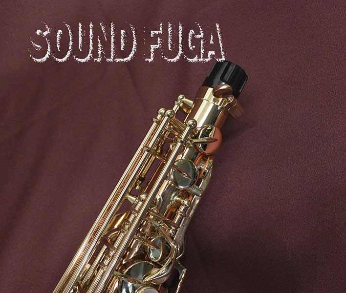 YANAGISAWA A-WO2 アルトサックス 本田雅人氏選定品