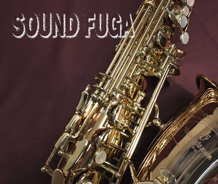 YANAGISAWA A-WO2 アルトサックス 本田雅人氏選定品