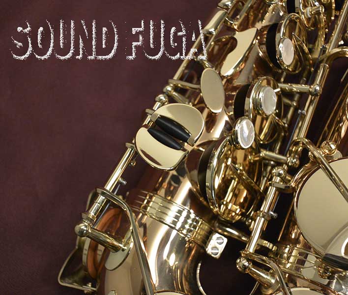 YANAGISAWA A-WO2 アルトサックス 本田雅人氏選定品