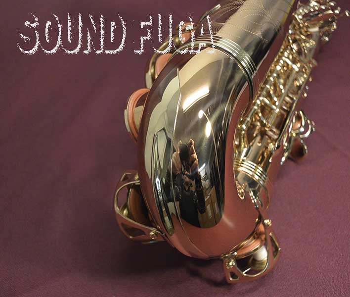 YANAGISAWA A-WO2 アルトサックス 本田雅人氏選定品