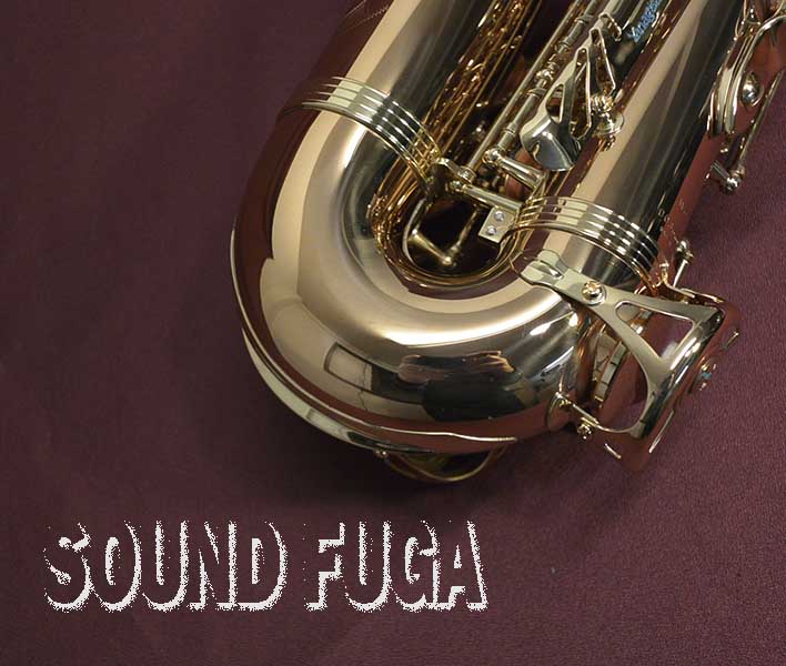 YANAGISAWA A-WO2 アルトサックス 本田雅人氏選定品