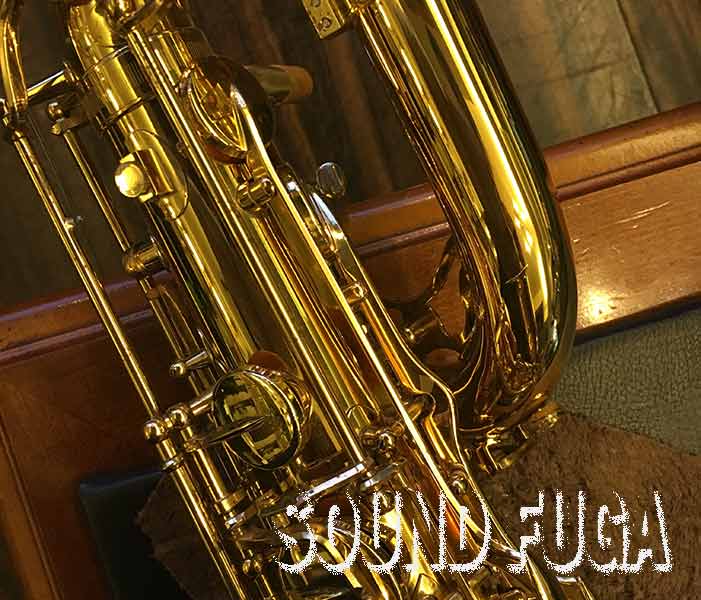 ヤナギサワ B901バリトンサックス バリトンサックス】YANAGISAWA（ヤナギサワ） B-WO30BSB【展示中