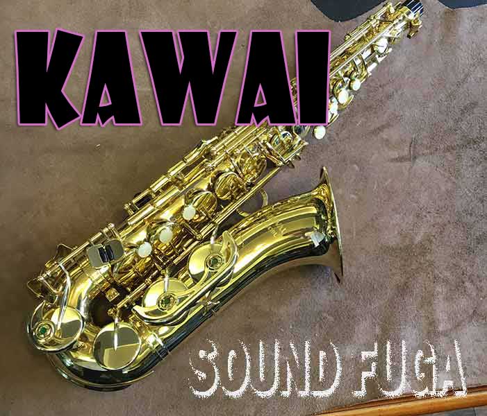 KAWAI アルトサックス KAS-158L メイヤーマウスピース付。 楽器/器材