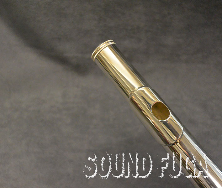 ALTUS SAF819SE ALTO FLUTE ALTUS SAF819SE ALTO FLUTE