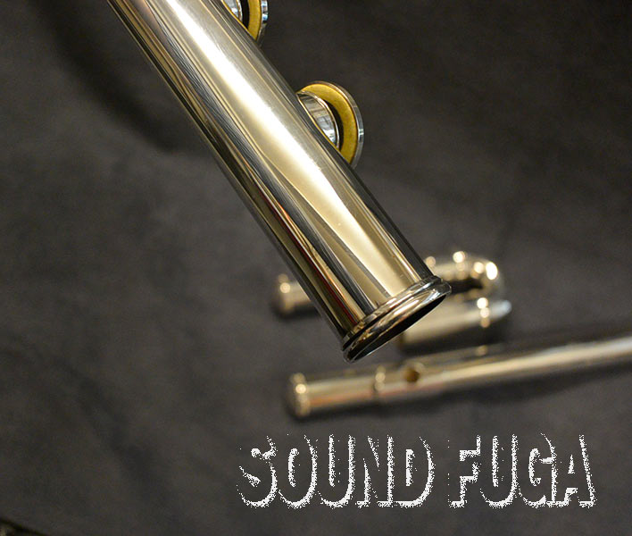 ALTUS SAF819SE ALTO FLUTE ALTUS SAF819SE ALTO FLUTE