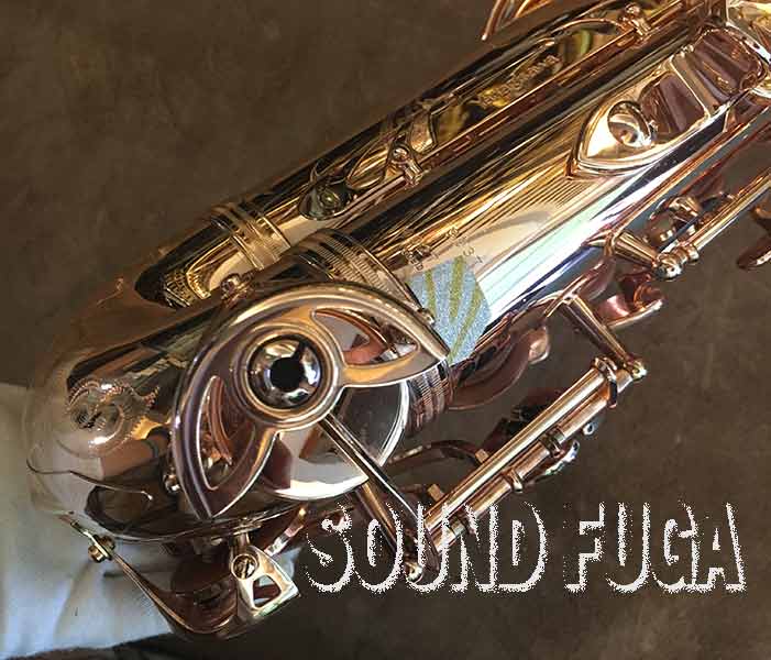 アルト・サックス アルトサックスヤナギサワ 日本製】YANAGISAWA Saxophone A-WO37｜島村