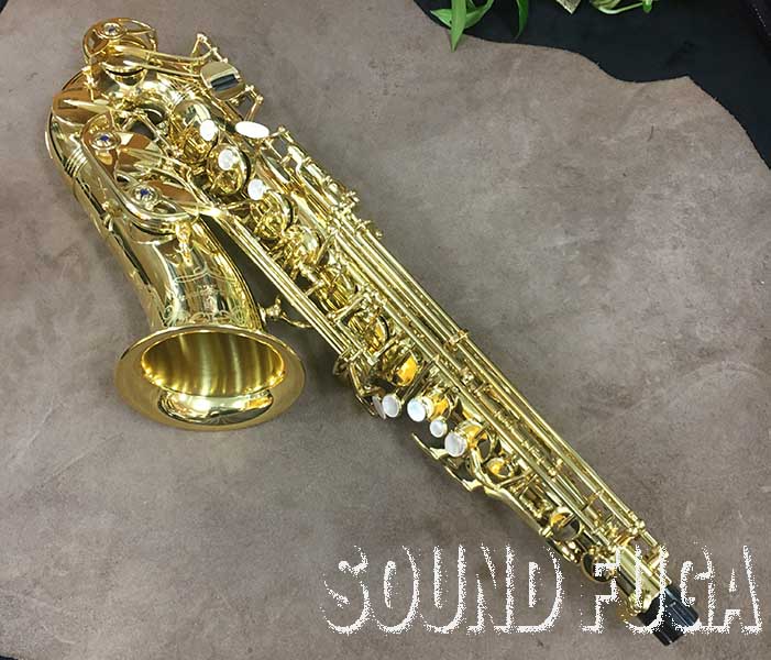 立*体様 Yanagisawa サックス　【25a1e358】 YANAGISAWA A-WO10 アルトサックス