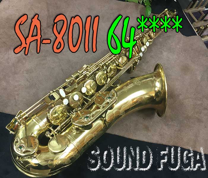 201119sa802wets6449ts1114_01.JPG