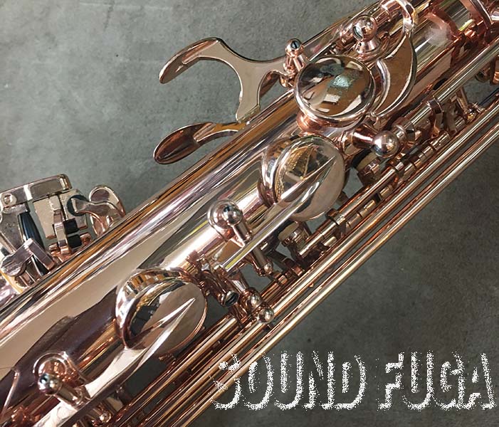 Selmer ゴールド シリーズIIIアルトサックス H.SELMER SERIE-III JUBILEE PGP アルトサックス