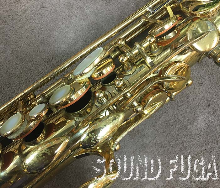 YANAGISAWA A-880 Elimona GP Neck ALTO アルトサックス