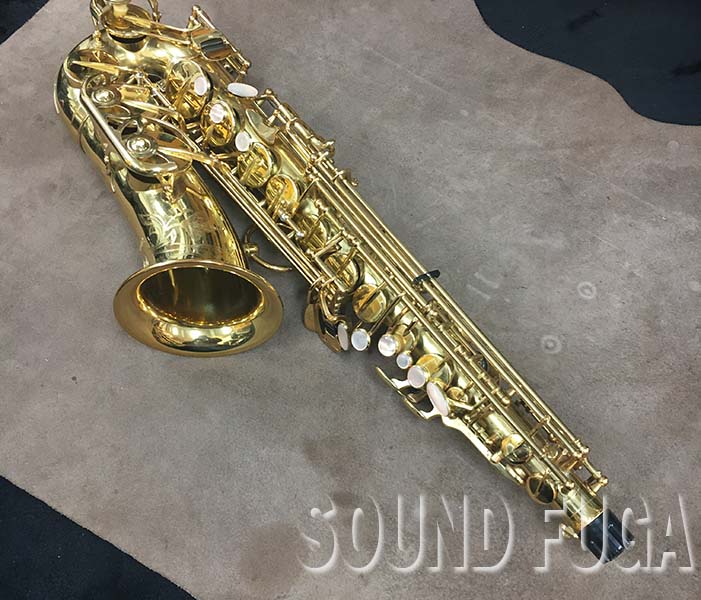 YANAGISAWA　ヤナギサワ A-880 ELIMONA アルトサクソフォン YANAGISAWA ヤナギサワ A-880 ELIMONA アルトサクソフォン（中古